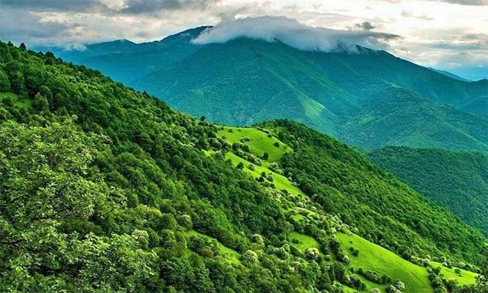 جنگل-ارسباران-آذربایجان-شرقی