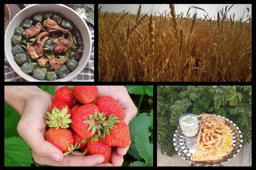 محصولات-و-غذاهای-محلی-کردستان