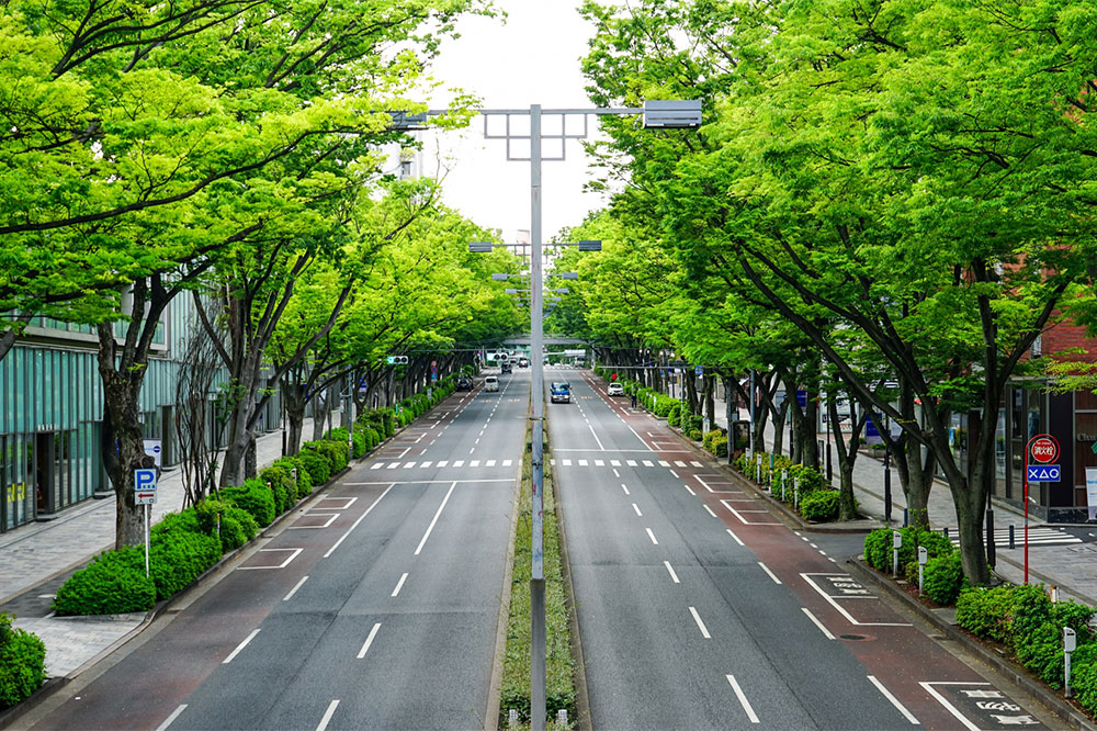 تمیزی-در-ژاپن