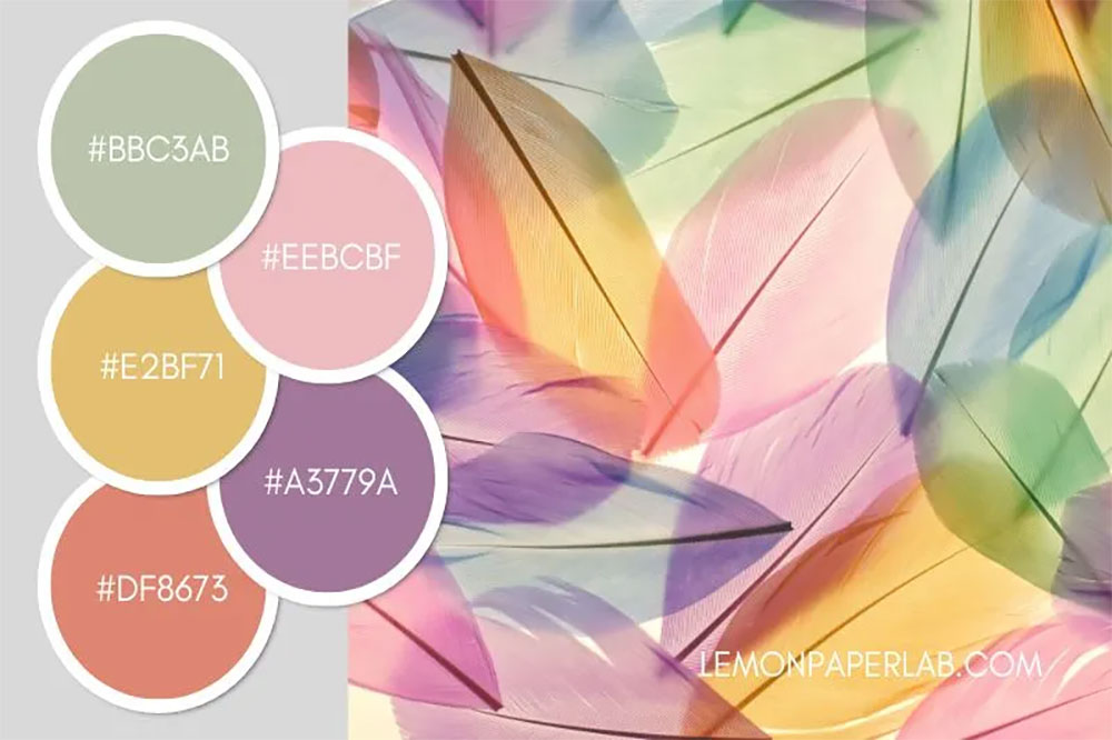 پالت-رنگی پالت-رنگی